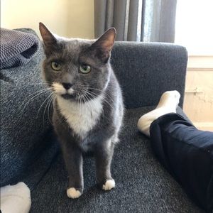 Meet your Posher, Angie